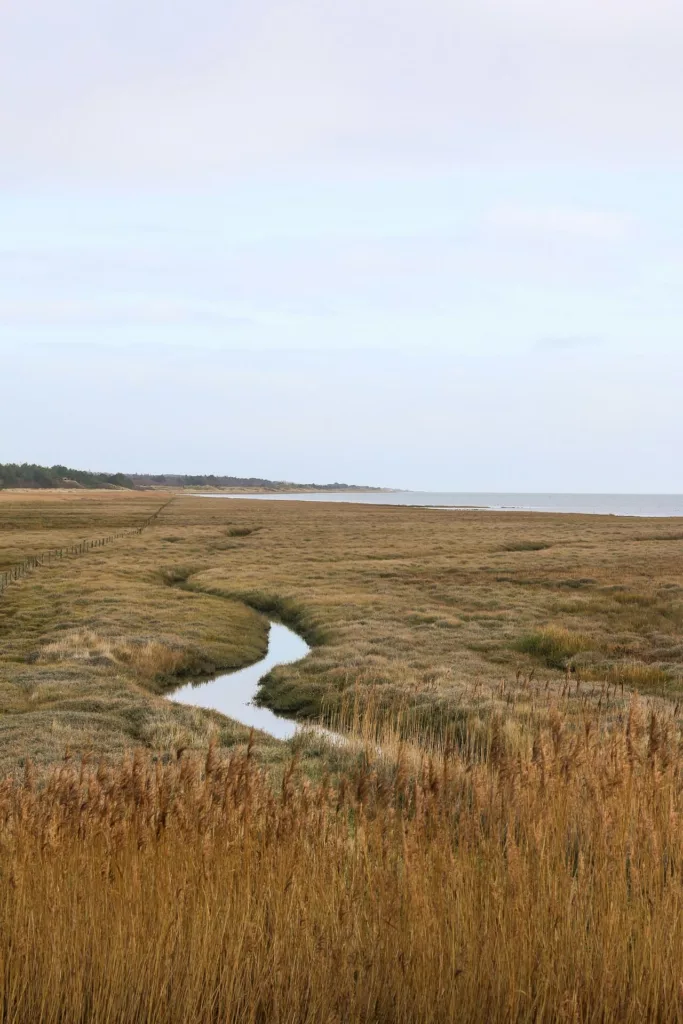 Les Gîtes de la Mouette Ravenoville Cotentin Découvrir la Normandie