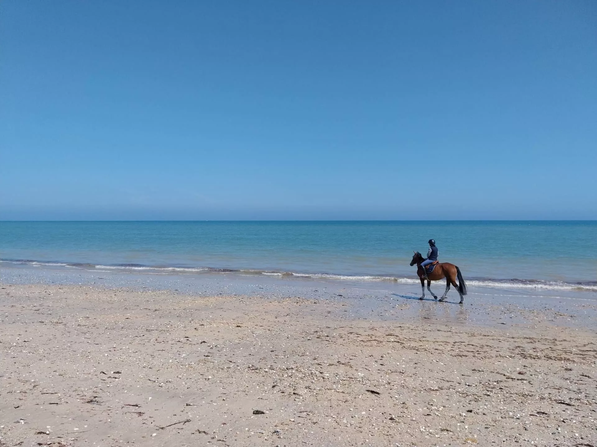 Les Gîtes de la Mouette Ravenoville Cotentin Mentions légales
